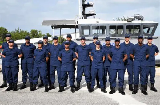 CICG logo construction
