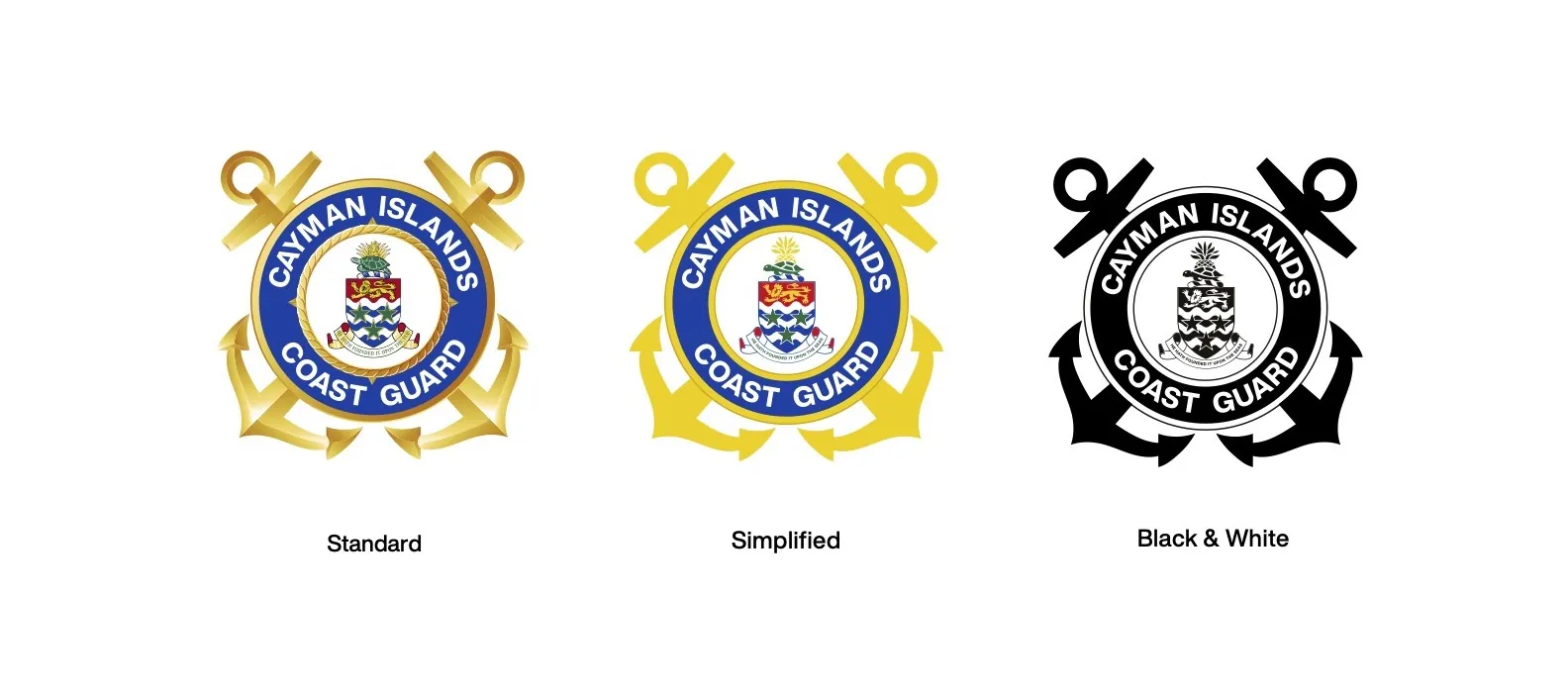 CICG brand versions